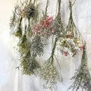 신대방수연약국 이미지