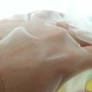 오늘 (O_NL) 이미지
