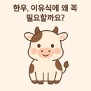 이유식 소고기 까꿍맘마 한우토핑 후기 광주 배송