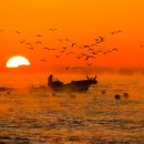 해돋이로 이미지