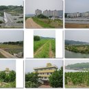 선어대생태공원 이미지