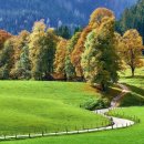 거제 행정사사무소 이미지