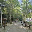 달천 유아숲체험원 이미지