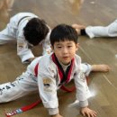 국가대표 디테일 태권도장 이미지