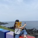 카페피콜라 이미지