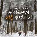 강창학체육공원 서귀포인라인롤러장 | 레저·축제까지 알차게~ 서귀포에서 겨울 만끽하기⛄