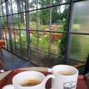 화정벌의원 이미지