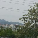 삼구농장 이미지