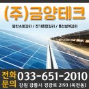 금양테크주 이미지