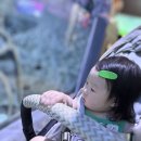 우림미디어 | 코엑스 아쿠아리움 할인 아기랑 갈만한 곳 후기