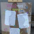 박선생교육문화원주 | 뮤지컬 오지게 재밌는 가시나들 후기(재관) 김아영/박채원/허순미/강하나/강정우/신진경