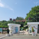 남해 원예예술촌 후기 | 남해 가볼만한 곳 가족 여행지 추천 🌿