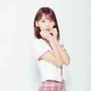 사쿠라 스타뉴스