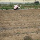 보덕사길 이미지