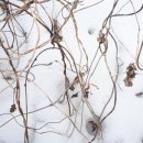 두지농장 이미지