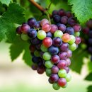 인공지능과 인간의 미래 이미지