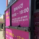 튜울립 - 창원시 의창구 동읍로 233-17 | 태안 튜울립축제 2026 태안 세계 튤립 꽃 박람회 방문 후기