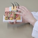 서귀포한의원 네이버블로그