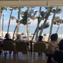 울진지중해 | 울진 신포리 카페 에그타르트가 맛있는 cafe1-21