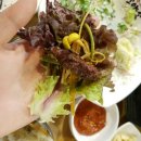 더 소야소 이미지