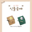 식물공예 이미지