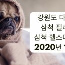 마린코어필라테스삼척점