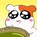 김동현의용곱창 이미지