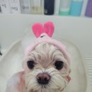 미소미용실 이미지