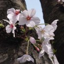 현대연립 이미지