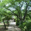 심광사 목조석가모니불좌상 이미지