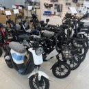 대신볼트 이미지