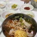 강원도 양양 로컬 맛집 [수산항물회]