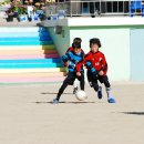 금정초등학교 이미지