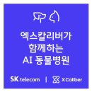 수원24시스카이동물메디컬센터