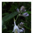 별총총바다풍경 이미지