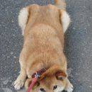 기분 - 서구 | 기분