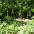 강촌 삼거리 이미지