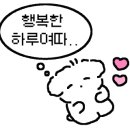 산청바이브 이미지