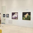 동탄 롯데백화점 이미지