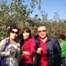 해오름농장-1 이미지