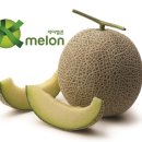 멜론 이미지