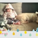 파트라슈 이미지