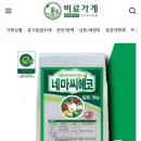씨에코 이미지