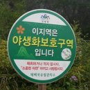 해바라기발전소 네이버블로그