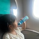 택시쉼터 | 아이랑 후쿠오카 여행 첫째날 | 에어서울 | 후쿠오카공항 택시 | 우버택시무료이용 후기