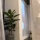 수원-1026 이미지