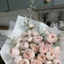 신신헤어샵 | 부산클리닉헤어샵 마린시티미용실 더민헤어 마린시티점 나경실장님께 두피클리닉 받은 솔직 후기