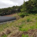 포항시남구4 이미지