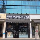 버디독강아지분양고양이분양안심분양센터서울강서점