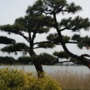 강릉경포그리고바다 이미지